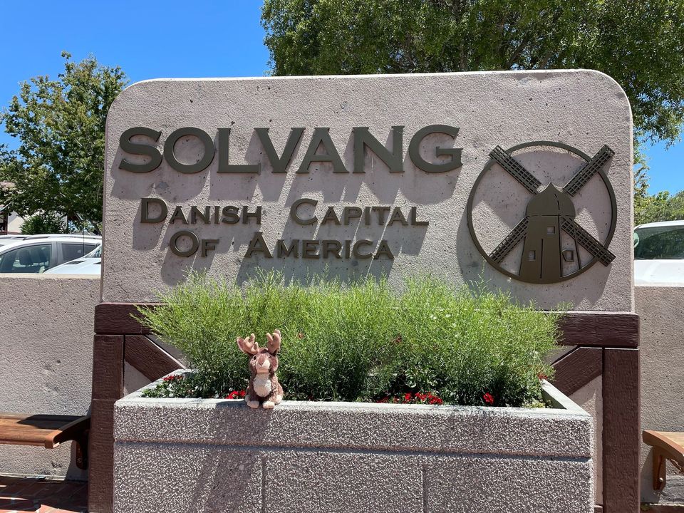 Floki's 4th of July